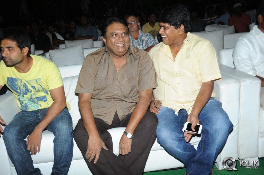 Race-Gurram-Movie-Success-Meet